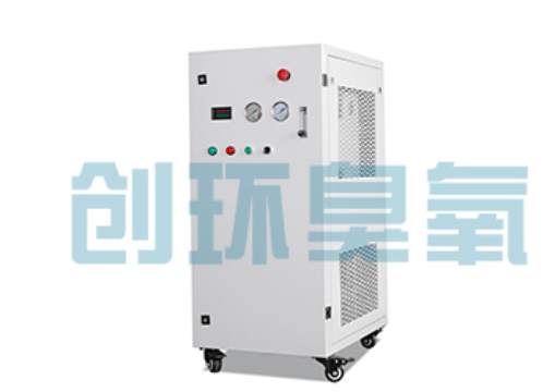 鄂州石斑鱼养殖水质调控完整指南:臭氧发生器配置与操作步骤