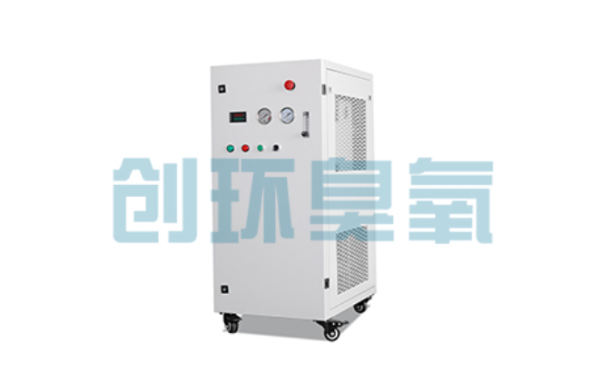 鄂州比传统换水更高效?臭氧发生器在石斑鱼养殖中的水质净化原理解析