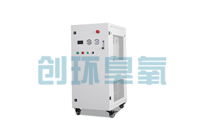 鄂州比传统换水更高效？臭氧发生器在石斑鱼养殖中的水质净化原理解析